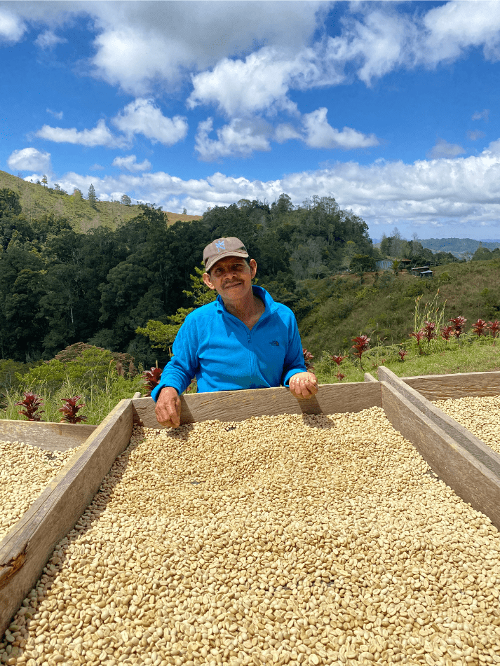 Single-Origin Light Roast | Sweet & Chocolate Notes | Emense Coffee