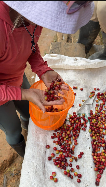 Fuel The Cast - Outdoor Chef Life × Emense Coffee